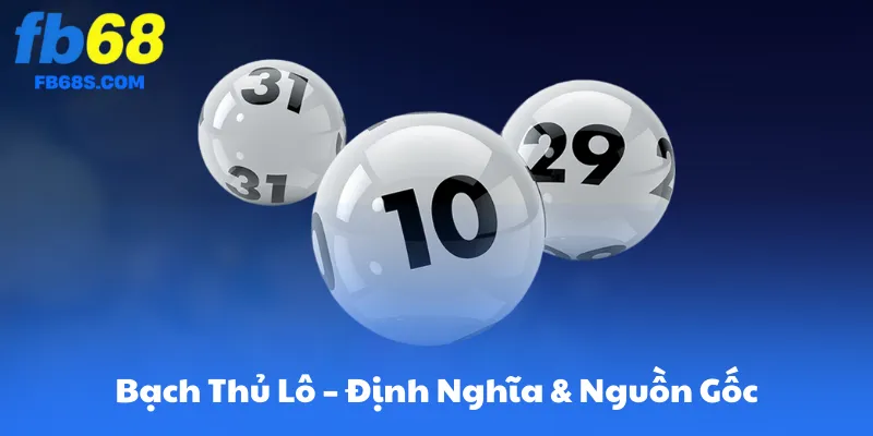 Bạch Thủ Lô – Định Nghĩa & Nguồn Gốc